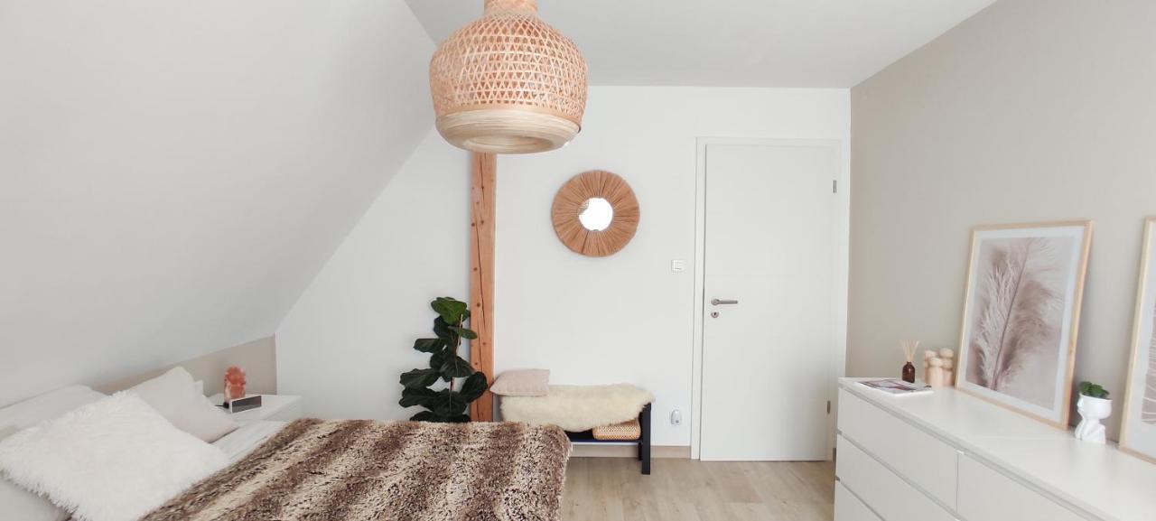 Cocoon Bed And Breakfast Fegersheim Eksteriør bilde