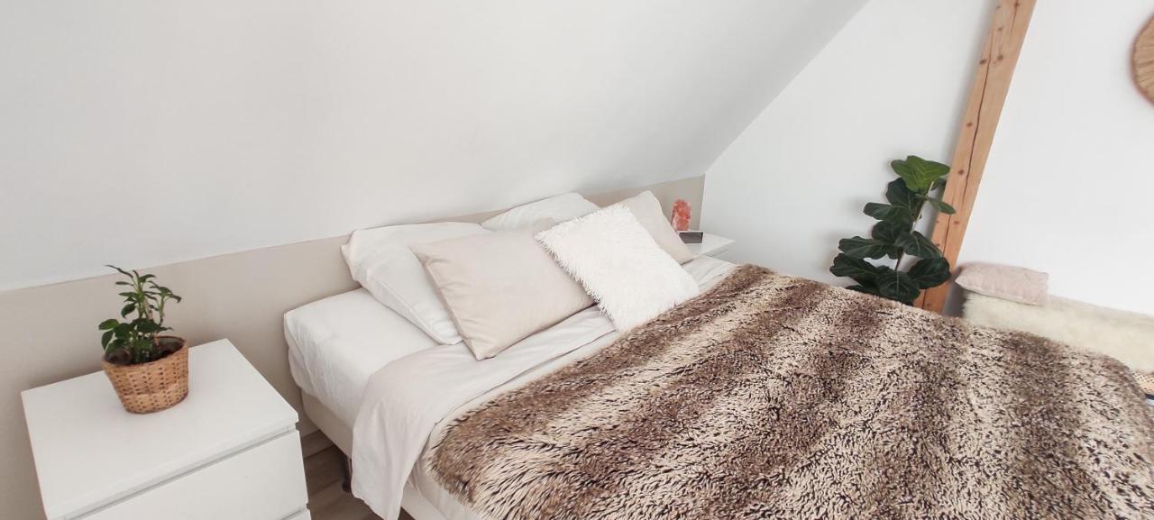Cocoon Bed And Breakfast Fegersheim Eksteriør bilde