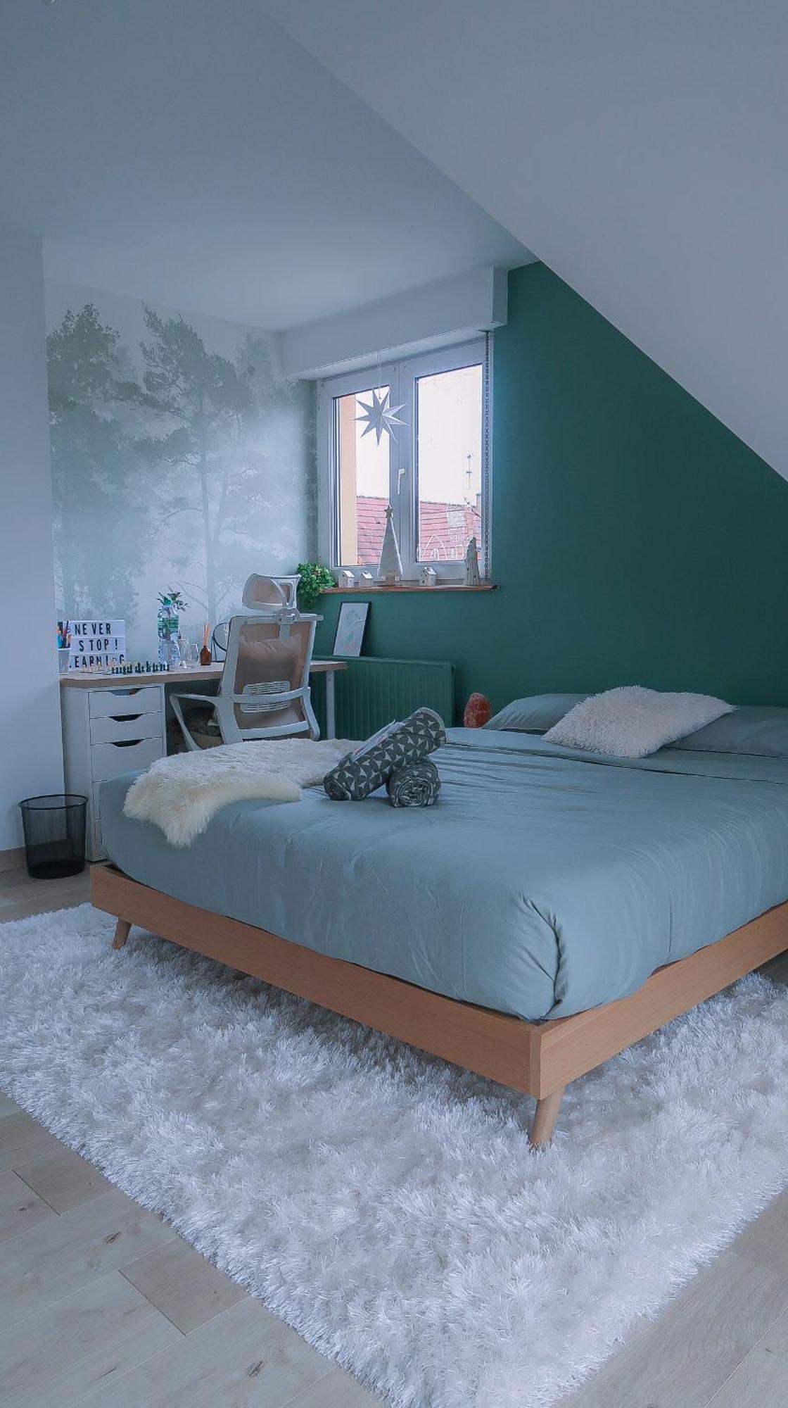 Cocoon Bed And Breakfast Fegersheim Eksteriør bilde